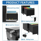 2 Drawer Metal Mobile File Cabinet,Rolling File Cabinet with Lock