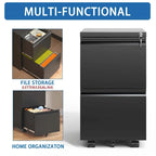 2 Drawer Metal Mobile File Cabinet,Rolling File Cabinet with Lock